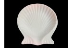 AA0007 SHELL 6"